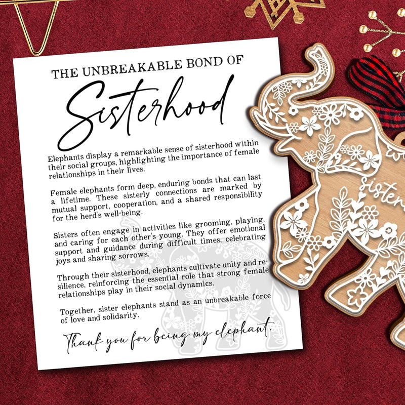 TEEBIM Elephant Ornaments - Elephant Gifts for Women - Best Friend Friendship Gifts for Women - Sisterhood, Friendship Ornament - Friends Gift for Christmas - Wood & Acrylic Ornament with Card​ - Image 2